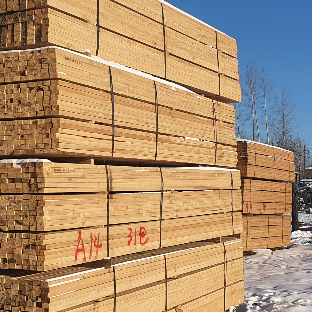 13 Лиственница (larix dahurica)over 22% (2)